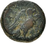 cn coin 15685