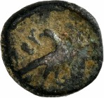 cn coin 15688