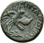 cn coin 20404