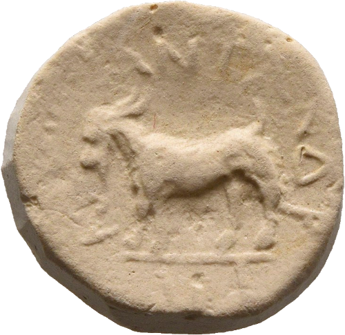 cn coin 20528