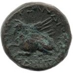 cn coin 28796