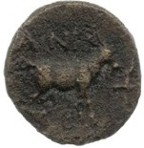 cn coin 30195