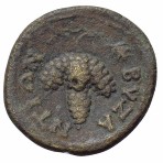 cn coin 7917