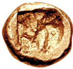 cn coin 8156