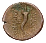 cn coin 512