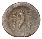cn coin 1513