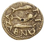 cn coin 1119