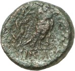 cn coin 18655