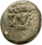 cn coin 10312