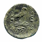 cn coin 41864